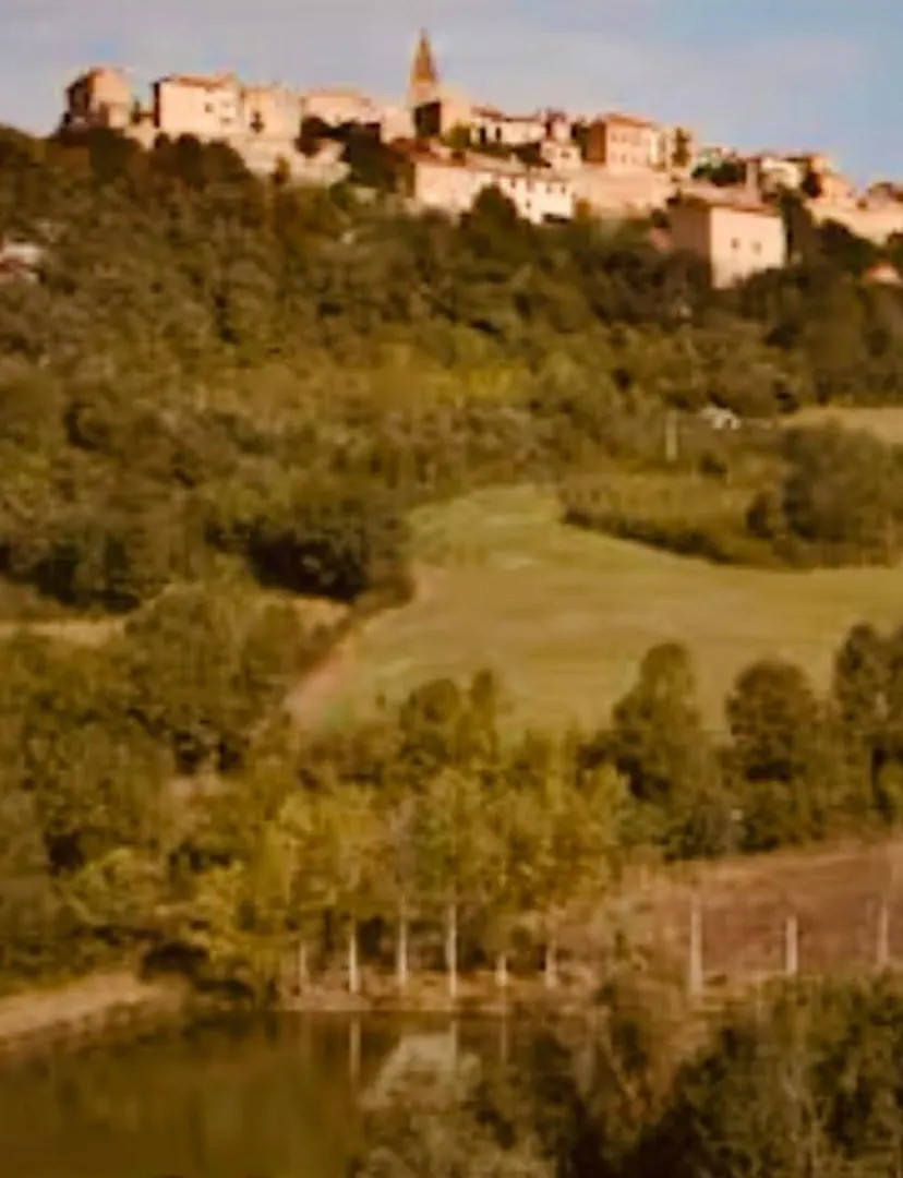 La Bastide De Meilhouret Larroque (Tarn)
